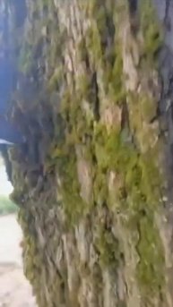 Немного юмора в ленту😁