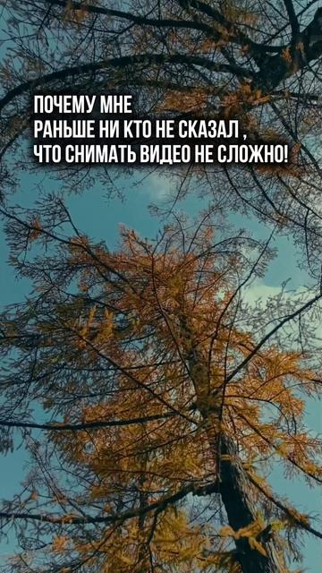 Снимать видео не сложно