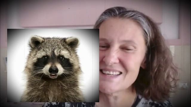 Про защитничков Монтян... Экстремистки и террористки...