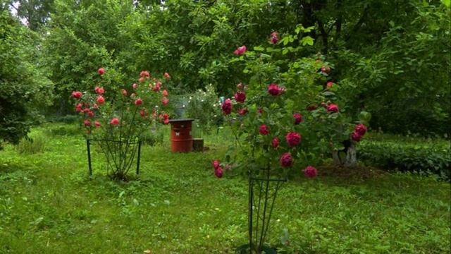 Ландшафтный дизайн, для вашей дачи !