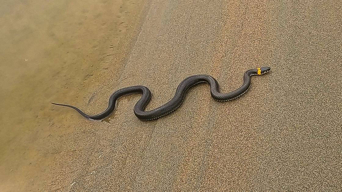 Осенняя рыбалка на Обских плесах !