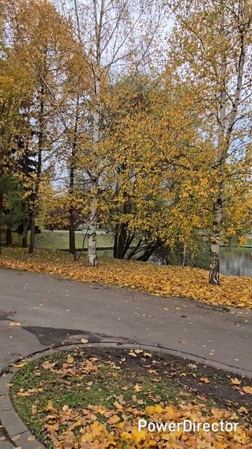 Проект_10-11_Full HD 1080p_MEDIUM_FR30_(1)