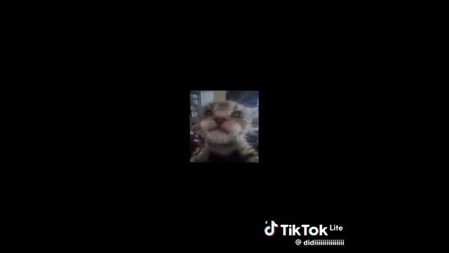 YA  TRICK YAAAAAAAAAAAAAAAAAAAAAAAAAAAAA