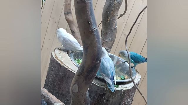 Ростов-на-Дону. Ноябрь 2025 🍁