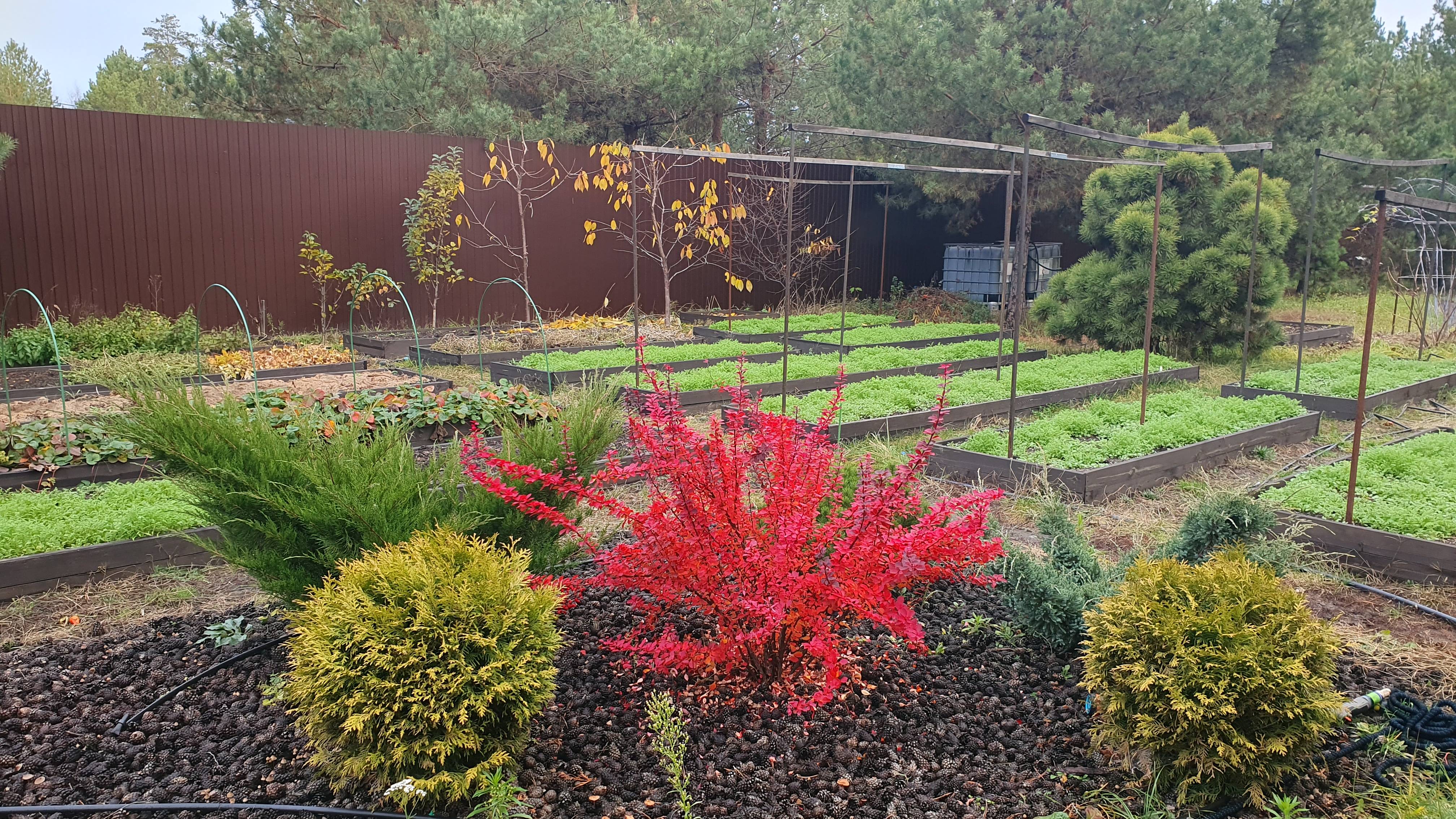 УЧАСТОК 2 НОЯБРЯ. ПЛАН РАБОТ. ИНФОРМАЦИЯ ПО ЗАКАЗАМ.