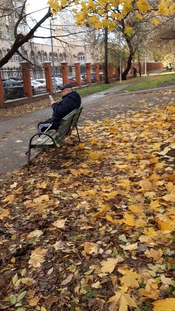 А во дворе на ковре из желтых листьев... поселилась осень.