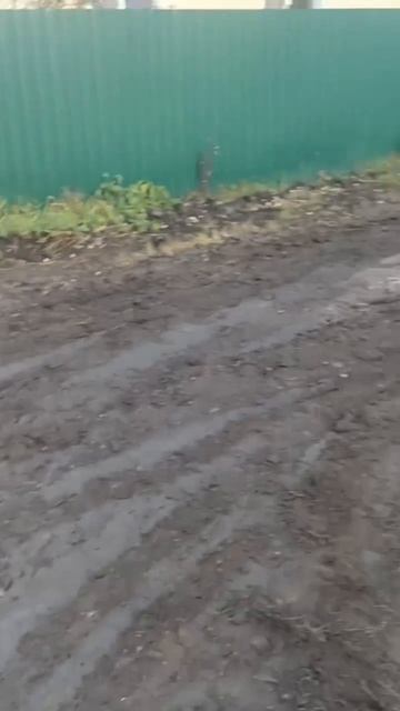 Город Ульяновск, Засвияжский район, село Отрада, улица Труда. Жители просят навести порядок с дорого