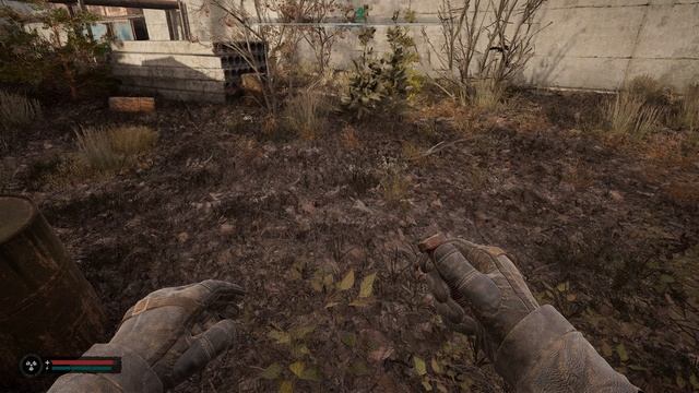 С.Т.А.Л.К.Е.Р. 2 -Аномальная активность №32