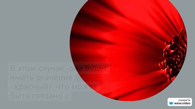 Фамилия Ахмаров: исследуем происхождение и историю рода, значения и особенности склонения!