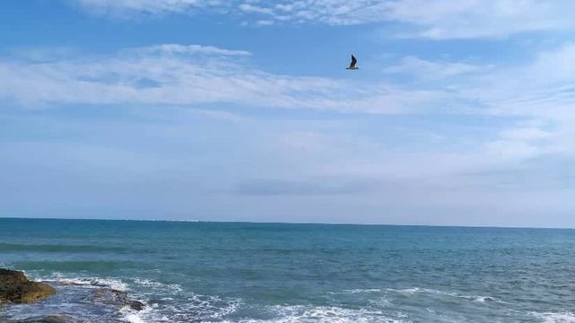 Найди исток! 1977