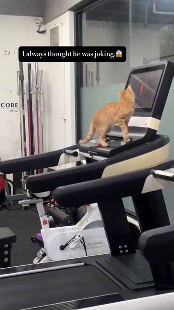 VID_20251103_191500_883.mp4