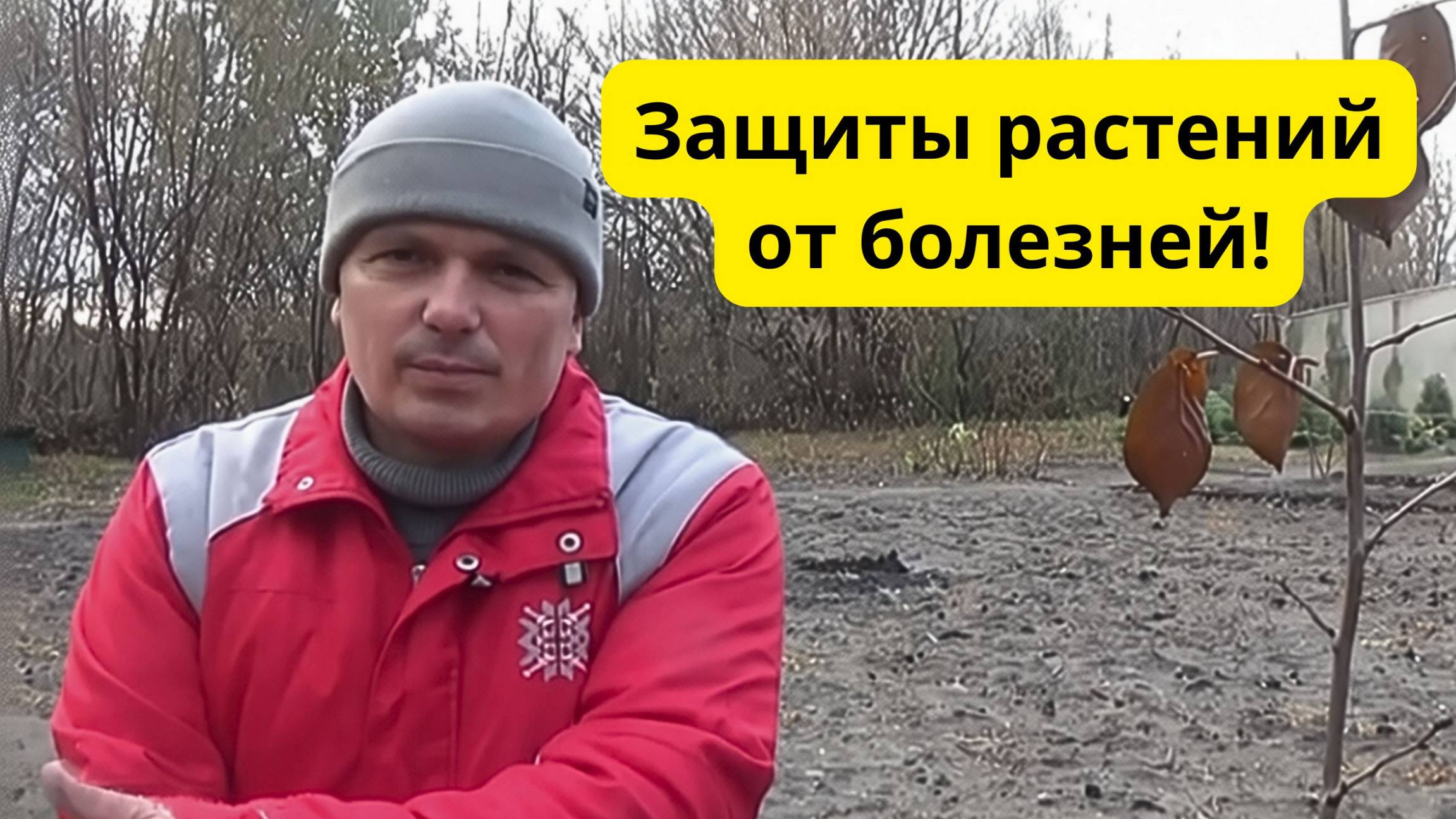 ЗНАЧЕНИЕ ДРЕВЕСНОЙ ЗОЛЫ ДЛЯ БУДУЩЕГО УРОЖАЯ!!!