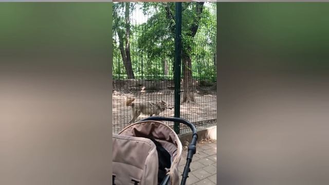 Ростов-на-Дону. Июнь 2025 🌸