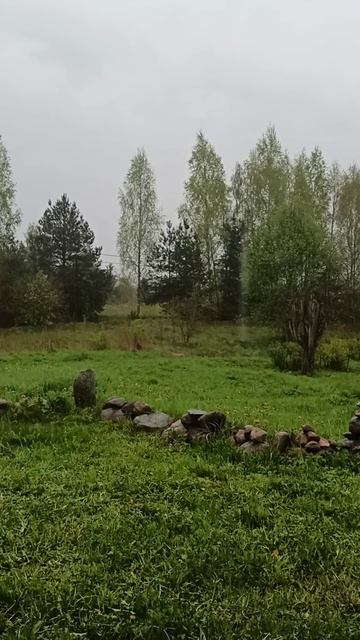 ВлёсноТВ 50 оттенков зелёного