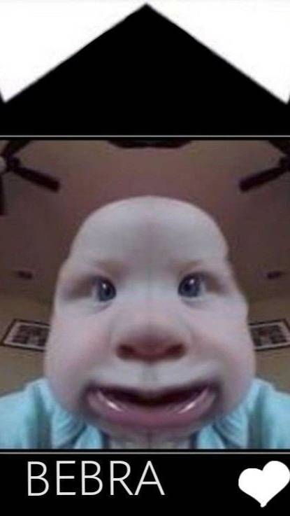 F_-_Teplye_koty_Budem_gladit_vsekh_murchashhikh_teplykh_sonnykh_nastoyashhikh_zapuskaya_ruki_v_mekho