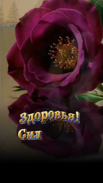 video_10600422839794.mp4