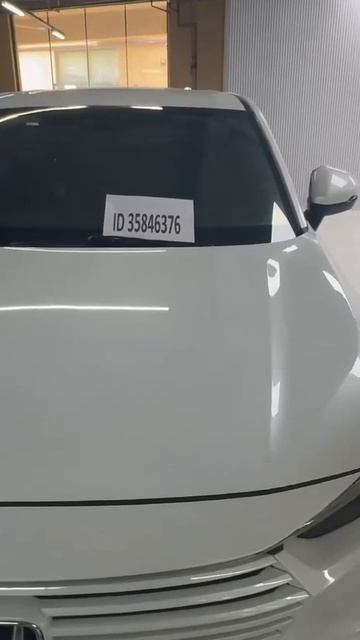 video_2025-11-04_02-24-12