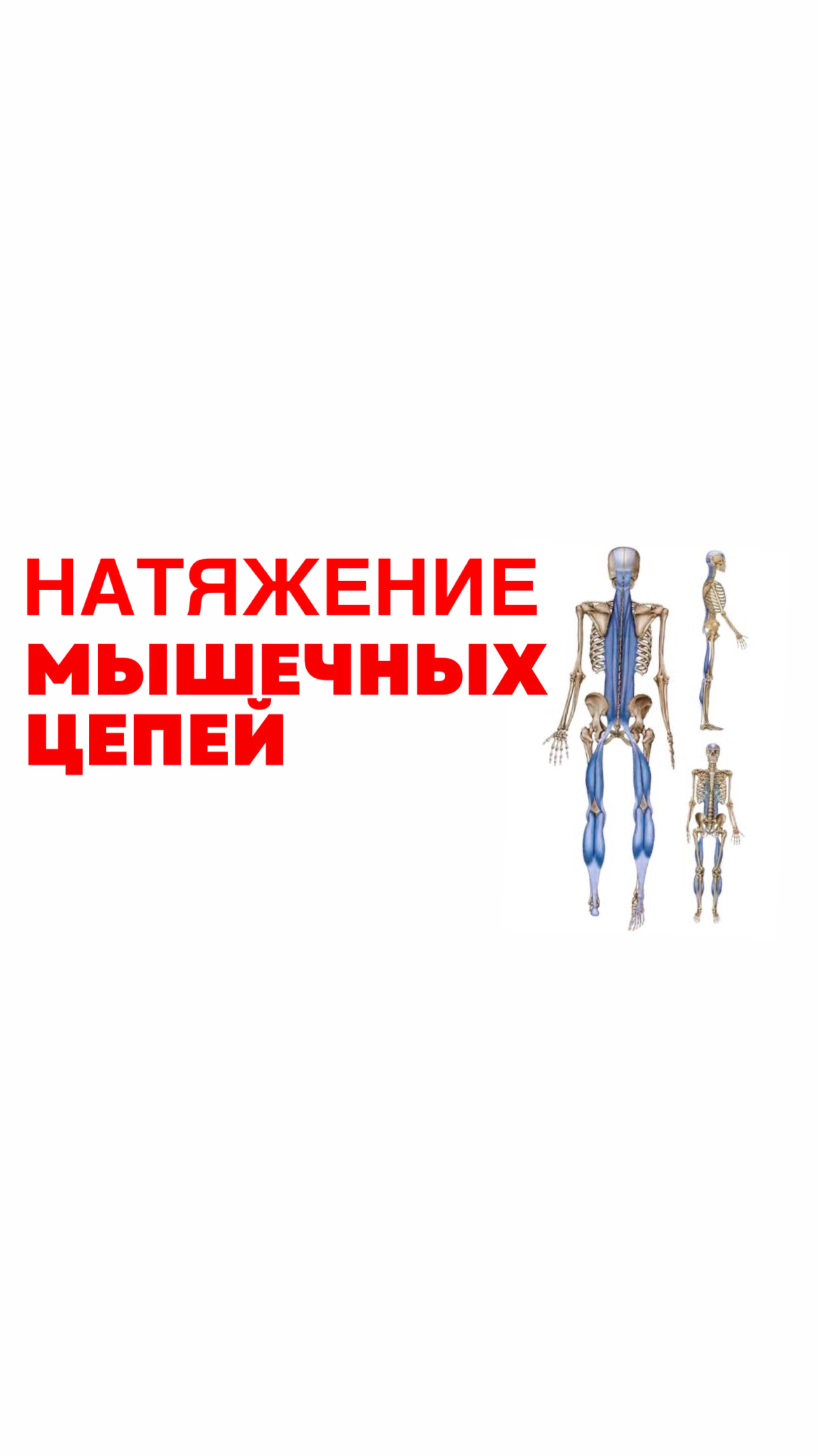 Натяжение мышечных цепей
