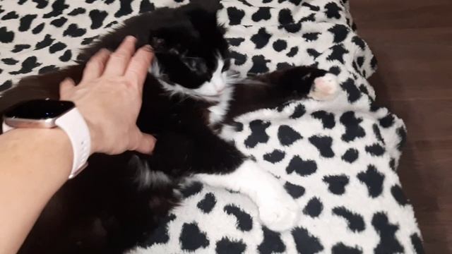 Питаюсь на 6000 руб. День № 7 и 8