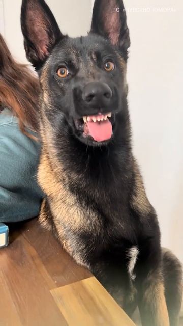 Ну... раз никто не видит