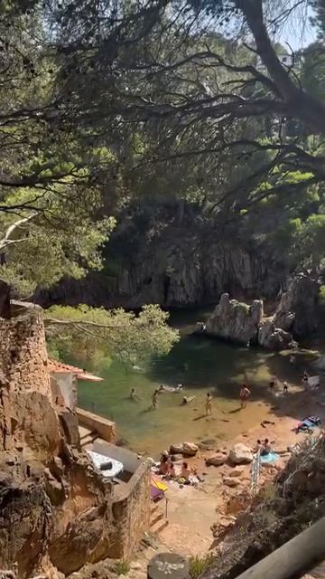 2025_03_31_19_49_IMG_0651