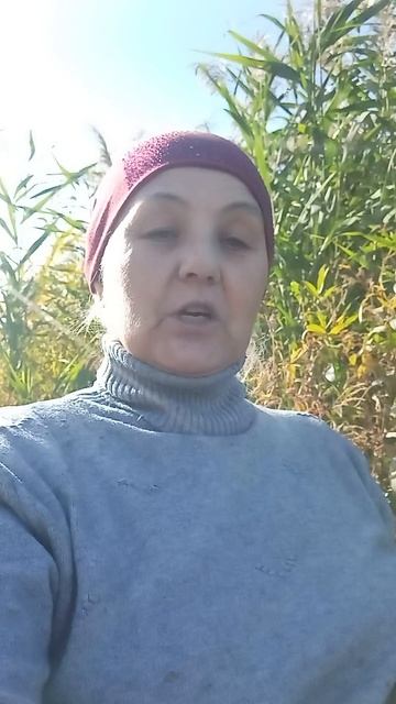 Бревно на рыбалке