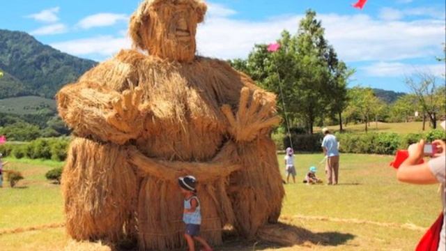 Фигурные теплицы, поделки из сена и скворечники из винных пробок !