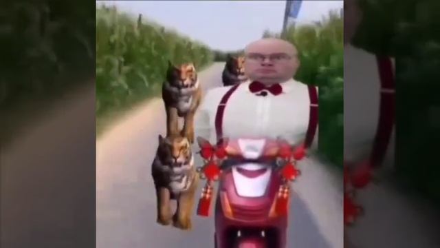 шаг за шагом