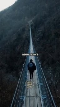 Выгода не пить алкоголь