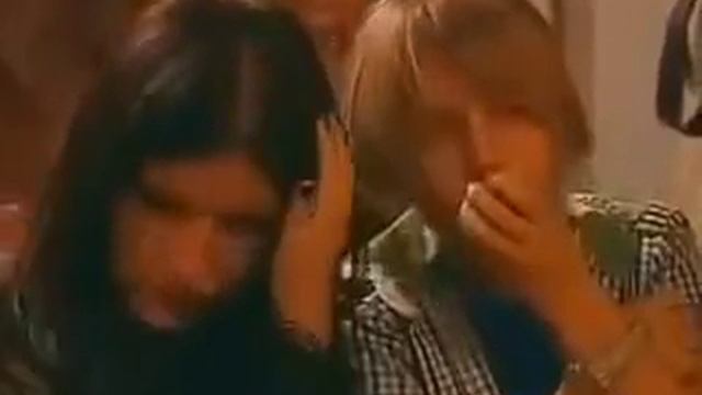 #Хэллоуин #юмор#котики#животные