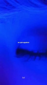 DEAD LALI - «Ангел»В эту пятницу на всех музыкальных площадках💥