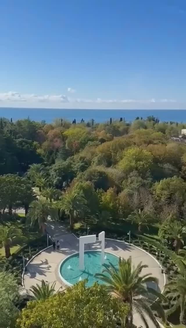 Абхазия, территория санатория «Самшитовая Роща» в Пицунде сегодня (3 ноября, ОСЕНЬ-2025)