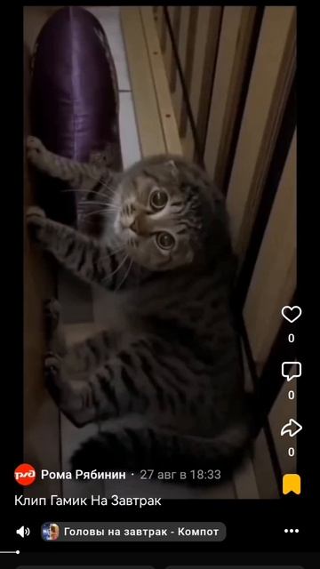 клип гамик сигма бой(официальный клип гамик)