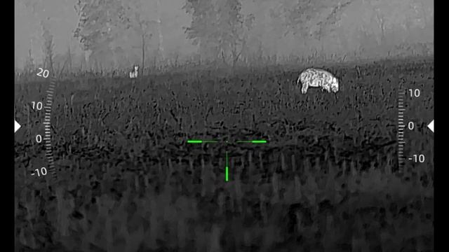 Тепловизор Lesnik2 650pro