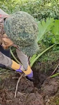 Второй субботник по подготовке к реализации проекта "Комфорт и благоустройство", 5.07.2024