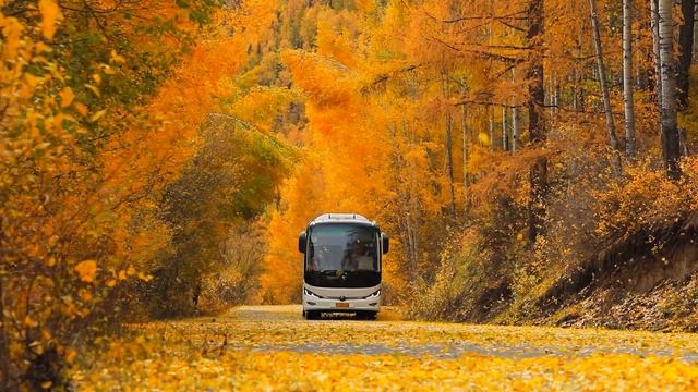 Вот как должна выглядеть осень