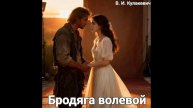 Виктор Кулакевич - Бродяга Волевой
