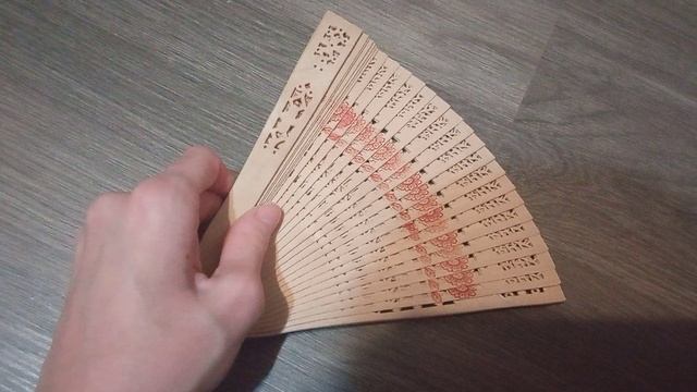 VID_20251104_061633.mp4