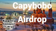Capybobo Airdrop