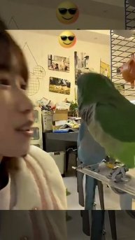 Та Самая Живая - Открывашка 🦜🤣