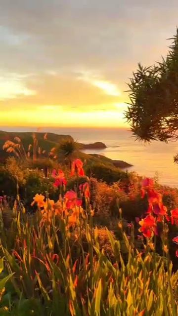 YouCut_20251104_043215652.mp4