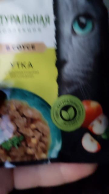 ПОДАРКИ ДЛЯ КОШКИ И МЕНЯ ОТ ПОДПИСЧИЦЫ / VLOG / 04. 11. 2025