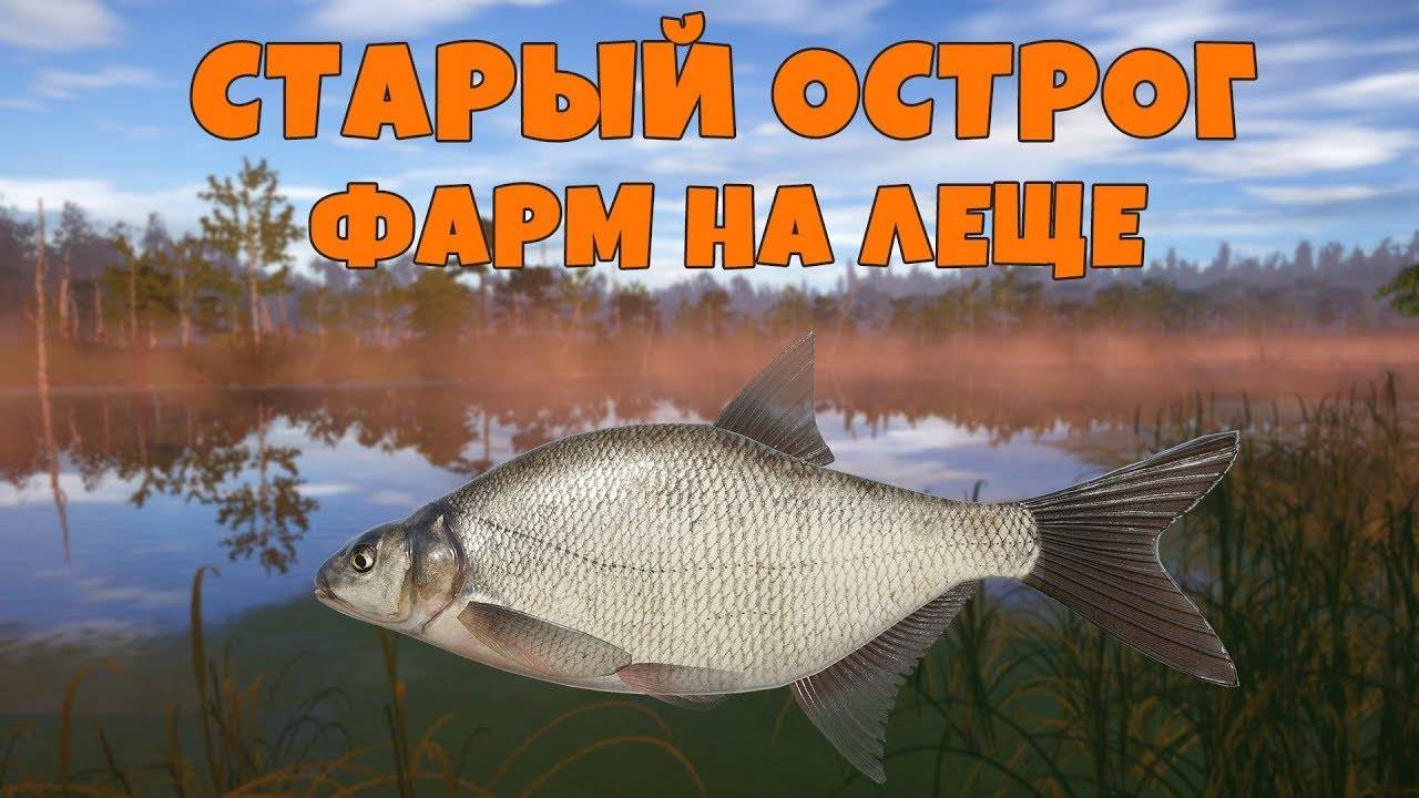 Русская рыбалка 4 \ Путь Новичка №7 [Фармим  на Остроге Леща]