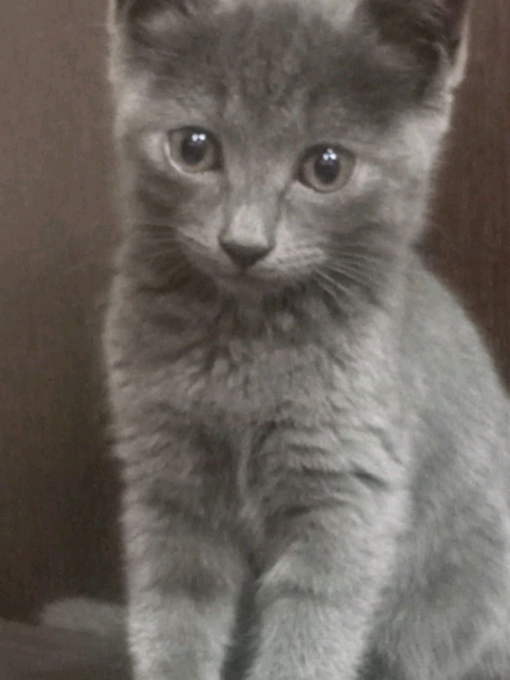 готовимся к школе на завтра