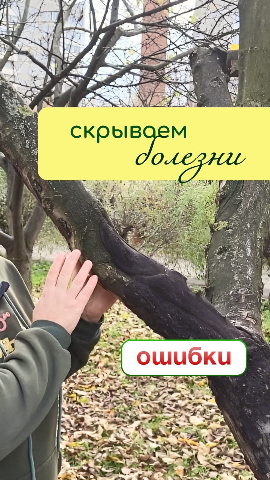 СКРЫВАЕМ болезни - ошибки