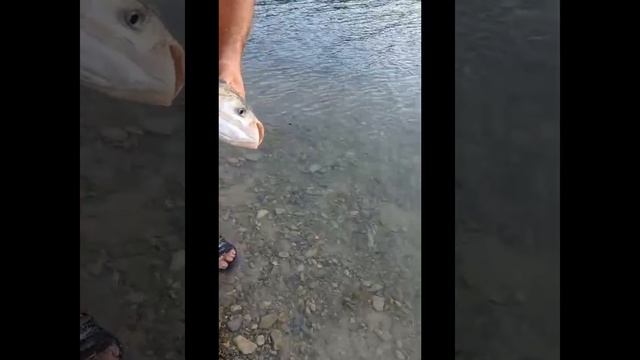 день рождение на черном ерике