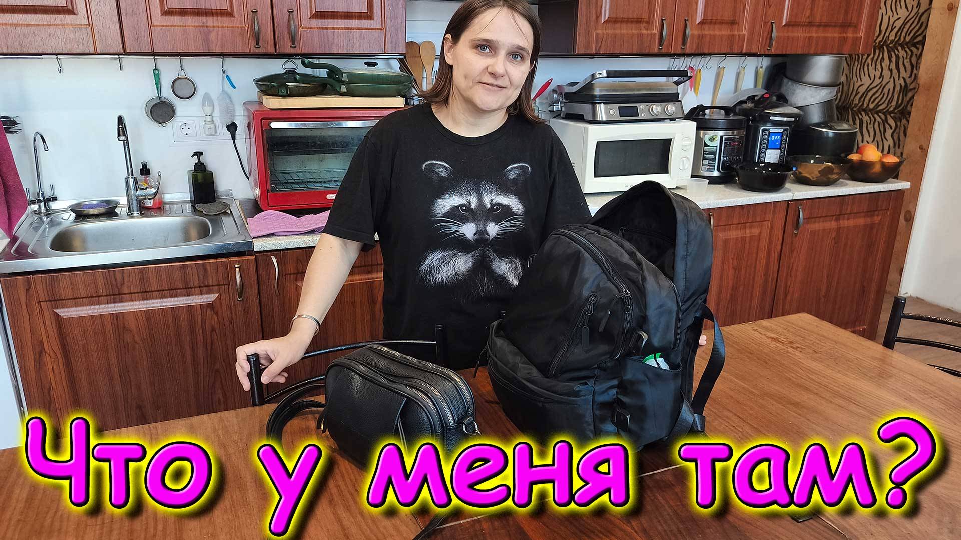 Обзор того, что ношу в сумочке и рюкзаке. (10.25г.) Семья Бровченко.