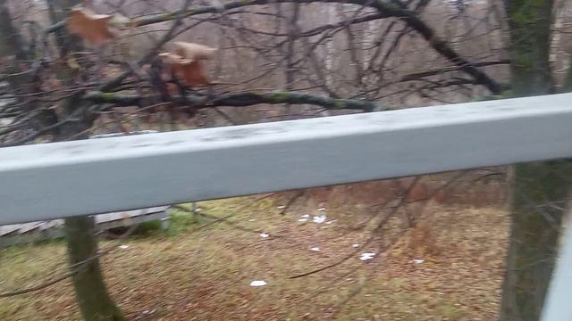 Овраг в Приволжье.