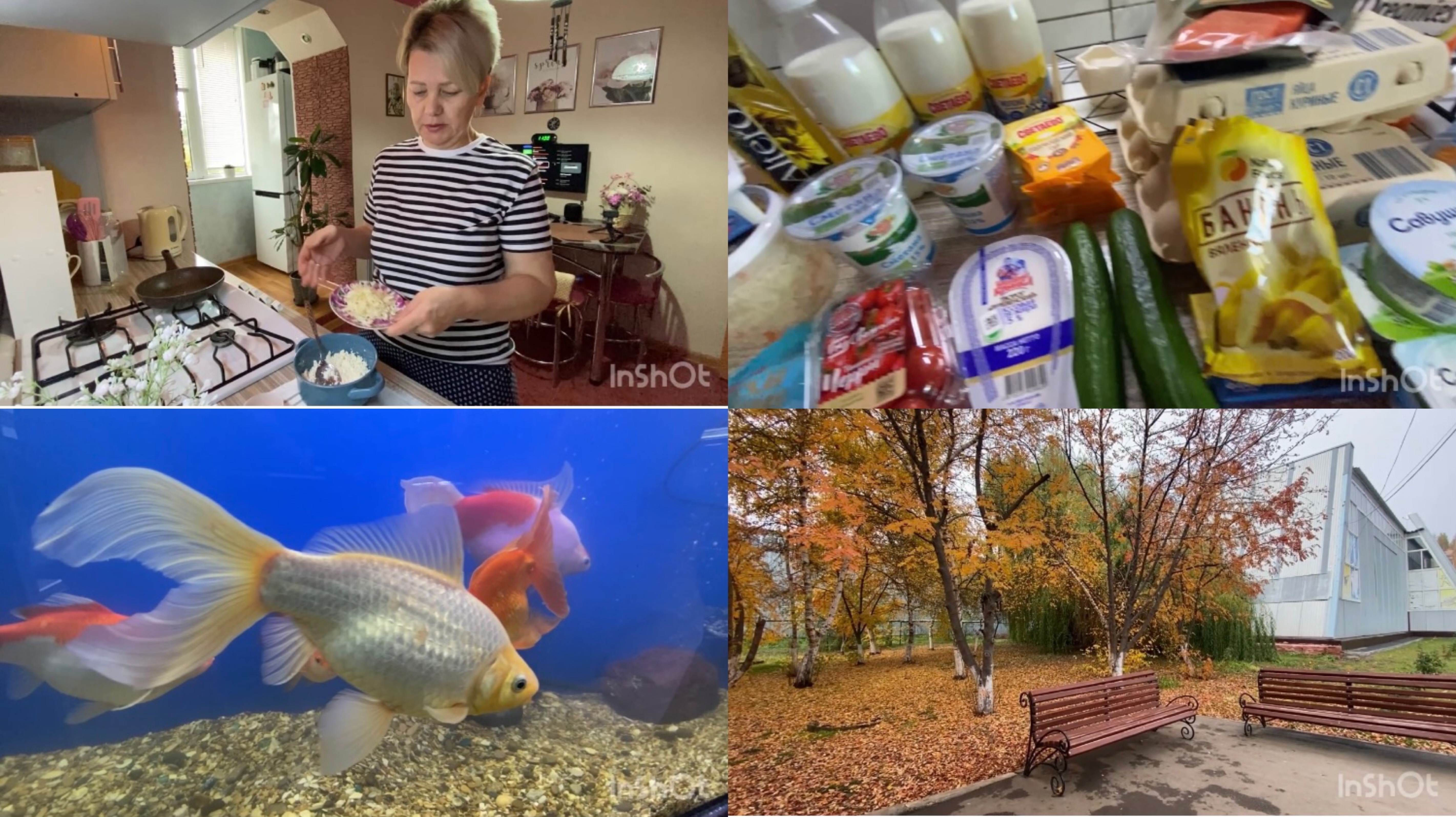 Лучший Завтрак, Очень Большая Закупка, Покупки От Души