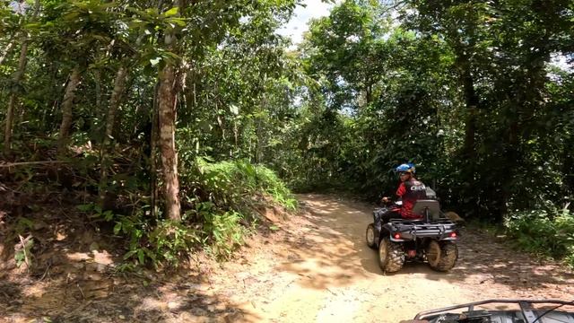 Лангкави-Подьем на водопад